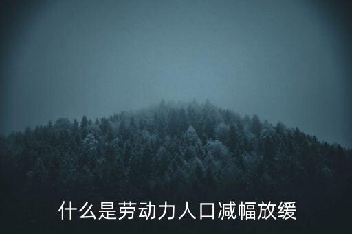  什么是勞動(dòng)力人口減幅放緩