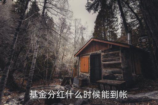 基金現(xiàn)金分紅什么時候到賬，基金現(xiàn)金分紅何時到賬