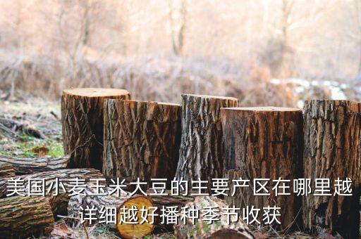 是美國什么和什么的主產(chǎn)區(qū)，美國小麥玉米大豆的主要產(chǎn)區(qū)在哪里越詳細越好播種季節(jié)收獲
