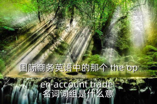 國際商務英語中的那個 the open account trade 名詞詞組是什么意