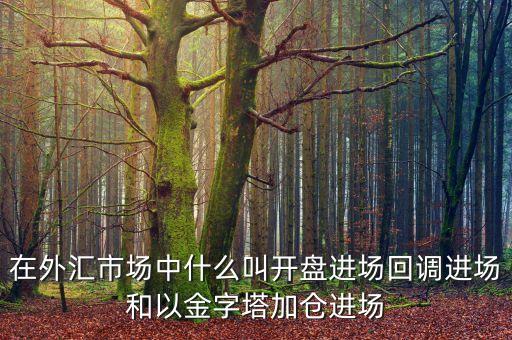 在外匯市場(chǎng)中什么叫開(kāi)盤(pán)進(jìn)場(chǎng)回調(diào)進(jìn)場(chǎng)和以金字塔加倉(cāng)進(jìn)場(chǎng)