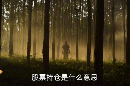 股票持倉什么意思，股票持倉是什么意思