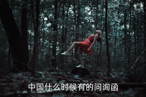 中國(guó)什么時(shí)候有的問(wèn)詢函