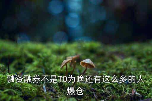 融資融券不是T0為啥還有這么多的人爆倉