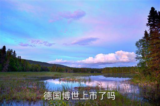 德國博世上市了嗎