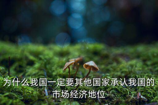 中國經(jīng)濟(jì)地位為什么重要，國有經(jīng)濟(jì)的地位和作用是怎樣的