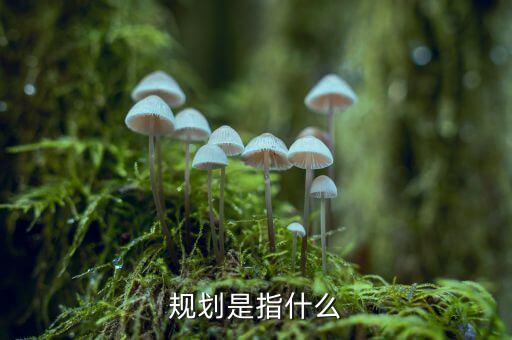 減量規(guī)劃是什么，規(guī)劃是指什么