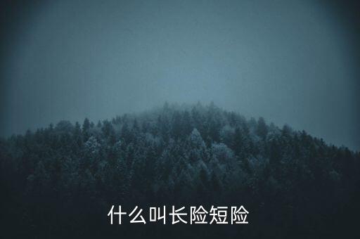 什么叫長險短險