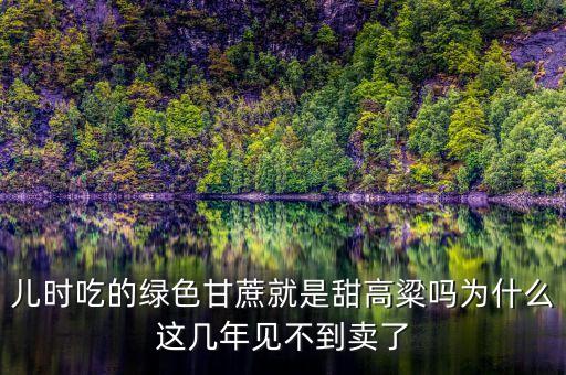 為什么今年的甘蔗賣不出去，為何橫縣的甘蔗賣不出