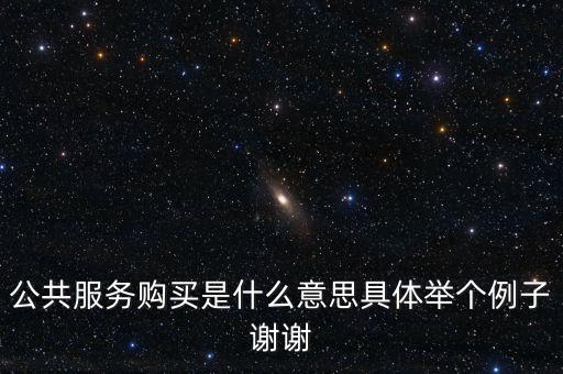 政府購(gòu)買(mǎi)公共服務(wù)是什么意思，政府購(gòu)買(mǎi)公共服務(wù)是政府履行什么職能