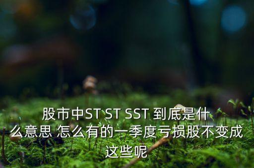 st銀山是什么公司，數(shù)量單位用st表示是什么意思