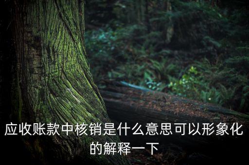 應收賬款中核銷是什么意思可以形象化的解釋一下