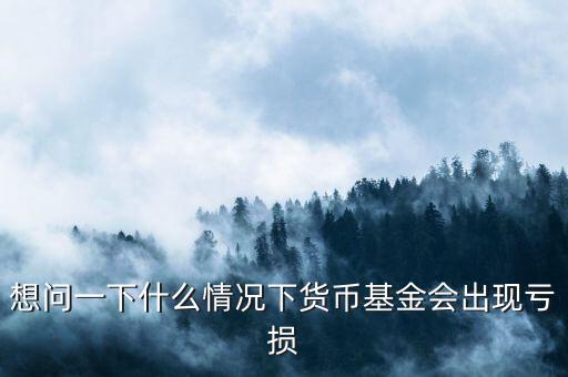 想問(wèn)一下什么情況下貨幣基金會(huì)出現(xiàn)虧損