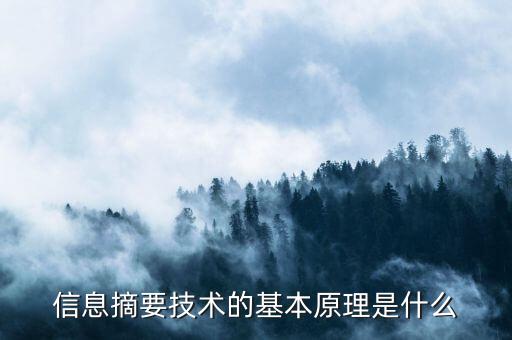 什么是電子摘要技術(shù)，加密技術(shù)和什么是電子商務(wù)和電子政務(wù)安全常用的技術(shù)