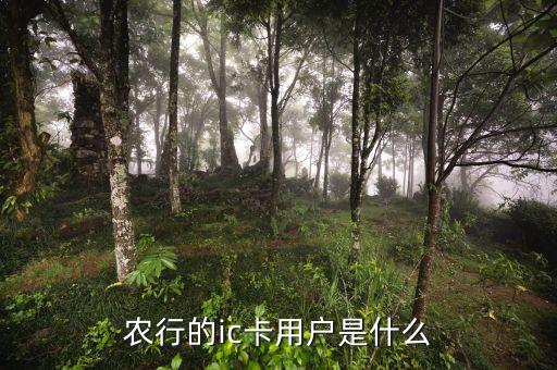 農(nóng)行ic卡是什么，農(nóng)行的ic卡用戶是什么