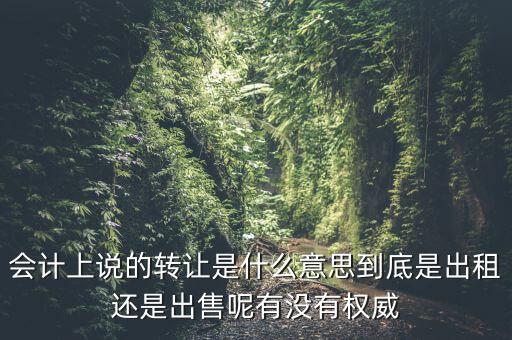 會(huì)計(jì)上說(shuō)的轉(zhuǎn)讓是什么意思到底是出租還是出售呢有沒(méi)有權(quán)威