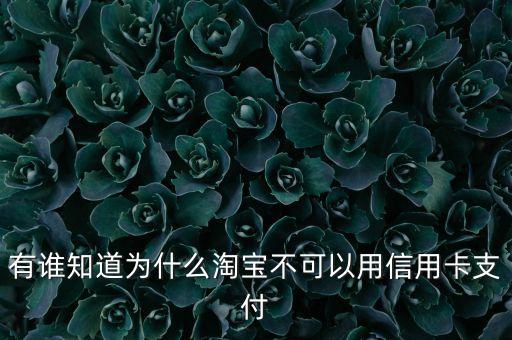 有誰(shuí)知道為什么淘寶不可以用信用卡支付