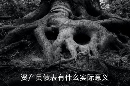 資產(chǎn)負債表有什么實際意義