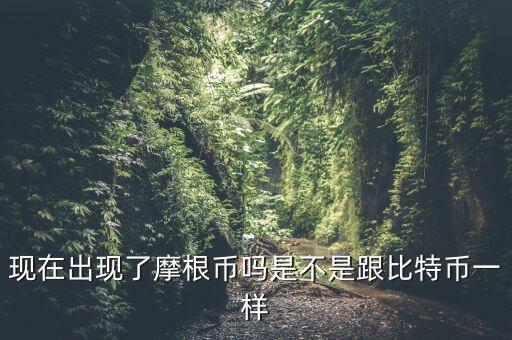 為什么摩根幣國家，現(xiàn)在出現(xiàn)了摩根幣嗎是不是跟比特幣一樣