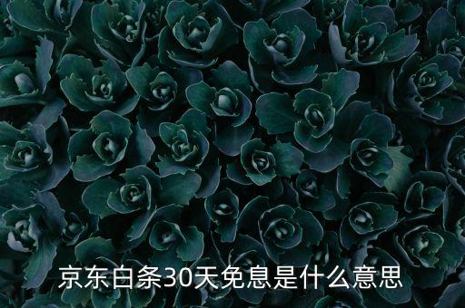 京東30天免息什么意思，京東商城網(wǎng)上買鞋子有增值保障是什么意思有什么30天免息又是17