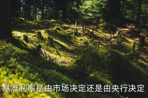 基準(zhǔn)利率是由市場決定還是由央行決定