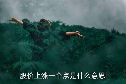 股價上漲一個點是什么意思