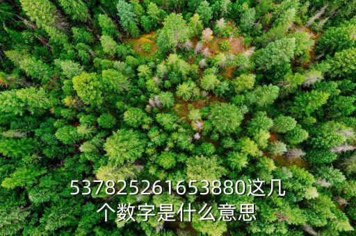 026869數(shù)字代表什么寓意，電話號碼各個數(shù)字表示的意義