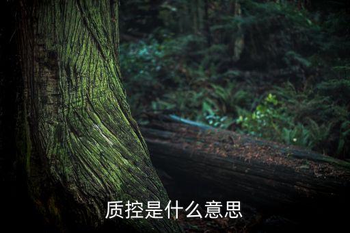 保險質(zhì)控處理是什么意思，質(zhì)控是什么意思