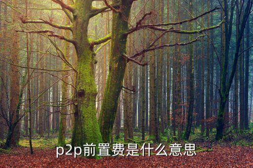 p2p前置費(fèi)是什么意思