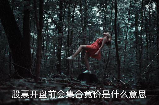 開盤前公布的股價(jià)是什么意思，股市每天開盤前的集合竟價(jià)是什么意思謝謝大師解答