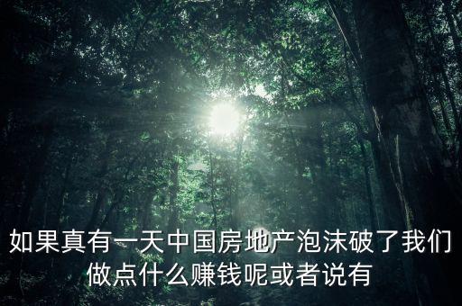 中國房產(chǎn)泡沫破裂后什么最掙錢，如果真有一天中國房地產(chǎn)泡沫破了我們做點什么賺錢呢或者說有