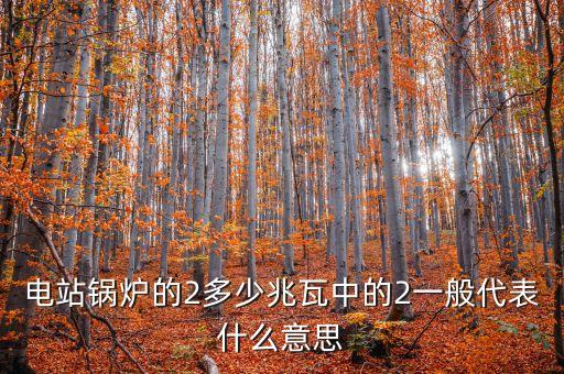 電站兆瓦什么意思，兆瓦是哪一個物理量的單位發(fā)電能力達(dá)45兆瓦說明什么意思