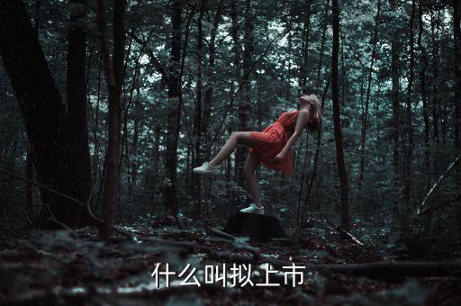 什么叫擬上市，什么是擬上市