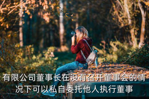 什么是董事長不履行職務(wù)，有限公司董事長在沒有召開董事會的情況下可以私自委托他人執(zhí)行董事