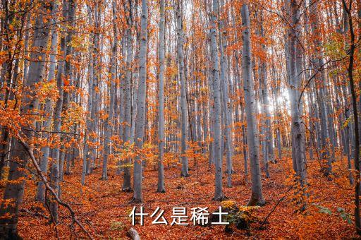 什么叫稀土，什么是稀土