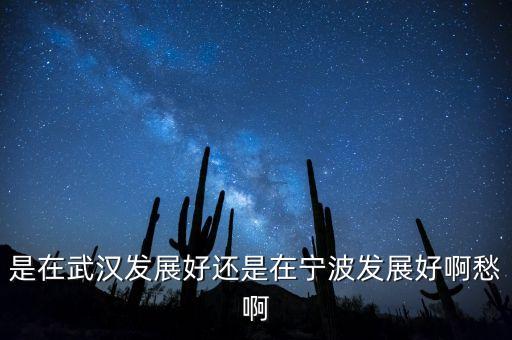 為什么說武漢經(jīng)濟沒寧波發(fā)達，是在武漢發(fā)展好還是在寧波發(fā)展好啊愁啊