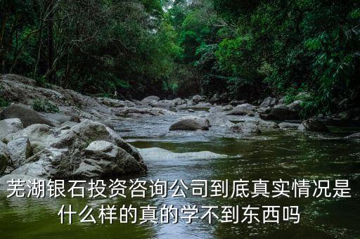 伯威控股是什么，威凌控股公司是做什么的