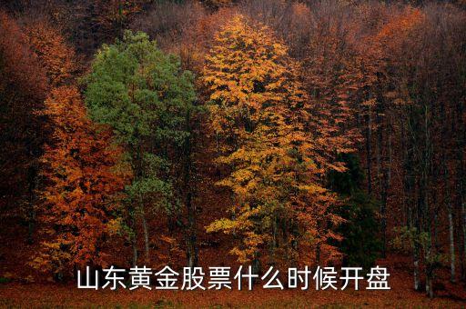 山東黃金股票什么時(shí)候開(kāi)盤(pán)