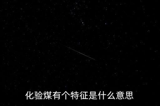 化驗煤有個特征是什么意思
