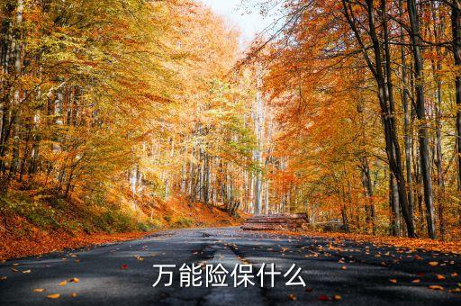 萬能險(xiǎn)保什么，萬能保險(xiǎn)主要指的什么