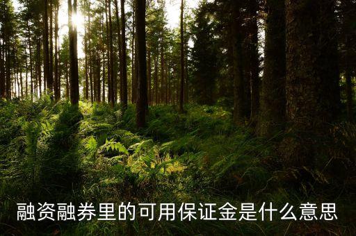 廣發(fā)證券融資保證金是什么，券商保證金是啥意思