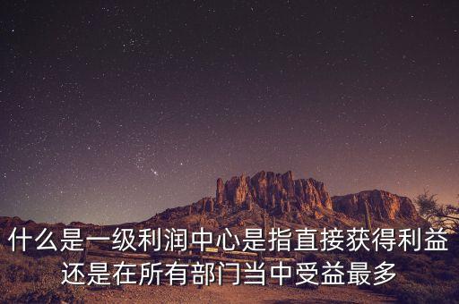 什么是一級(jí)利潤(rùn)中心是指直接獲得利益還是在所有部門(mén)當(dāng)中受益最多