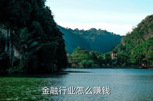 金融通過什么賺錢，金融方面有哪些賺錢項(xiàng)目