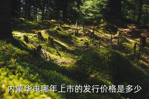 內(nèi)蒙華電屬于什么股，內(nèi)蒙華電屬于滬港通股票