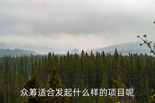 什么樣的項目適合眾籌，有哪些比較好的眾籌項目推薦一些