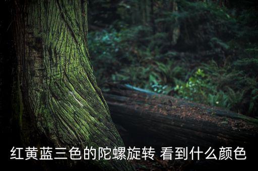 紅黃藍(lán)三色的陀螺旋轉(zhuǎn) 看到什么顏色