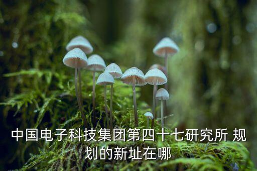中國(guó)電子科技集團(tuán)第四十七研究所 規(guī)劃的新址在哪