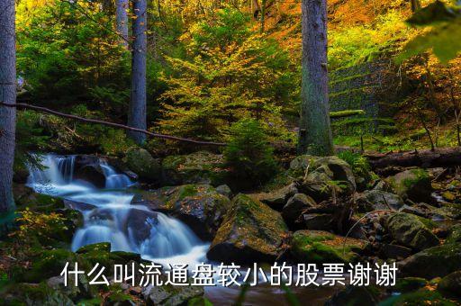 什么是流通盤較小的股票，股票中什么是流通盤較小的股票什么是流通盤較大的股票 謝了  問