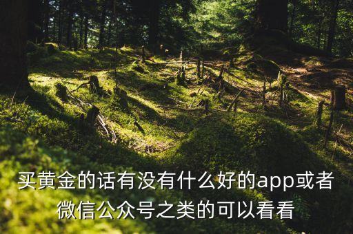 買金色前程有什么好，買黃金的話有沒有什么好的app或者微信公眾號之類的可以看看