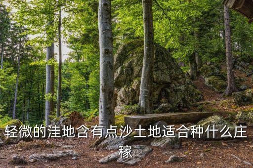洼地種什么莊稼，澇洼地種什么莊稼好